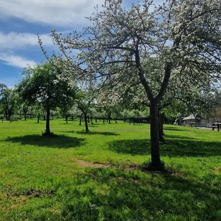 Le Domaine Lieu Bill, Normandie Blonville-sur-Mer
