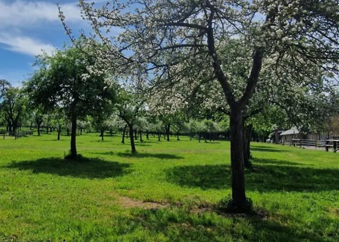 Le Domaine Lieu Bill, Normandie Blonville-sur-Mer