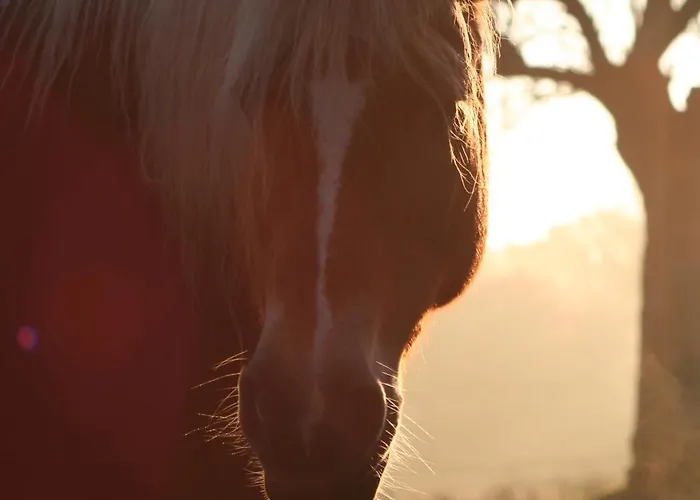 Maison d'hôtes Le Domaine Lieu Bill, Normandie 3*