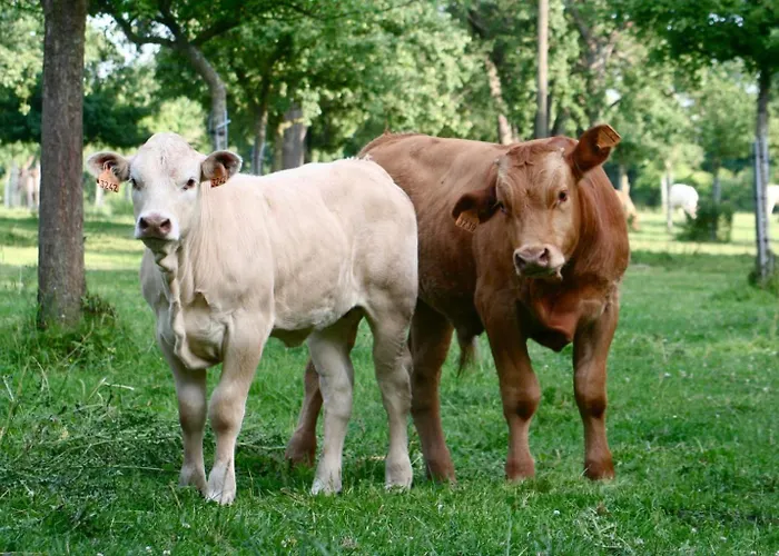 Le Domaine Lieu Bill, Normandie Penzion Blonville-sur-Mer